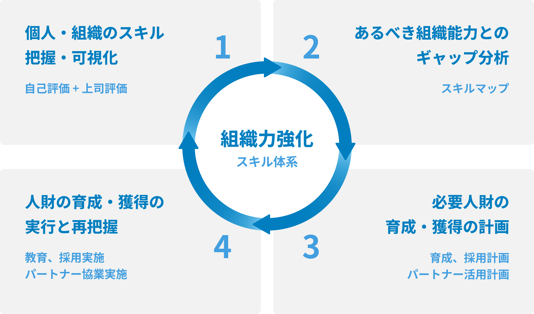 スキルの可視化と組織力強化サイクル