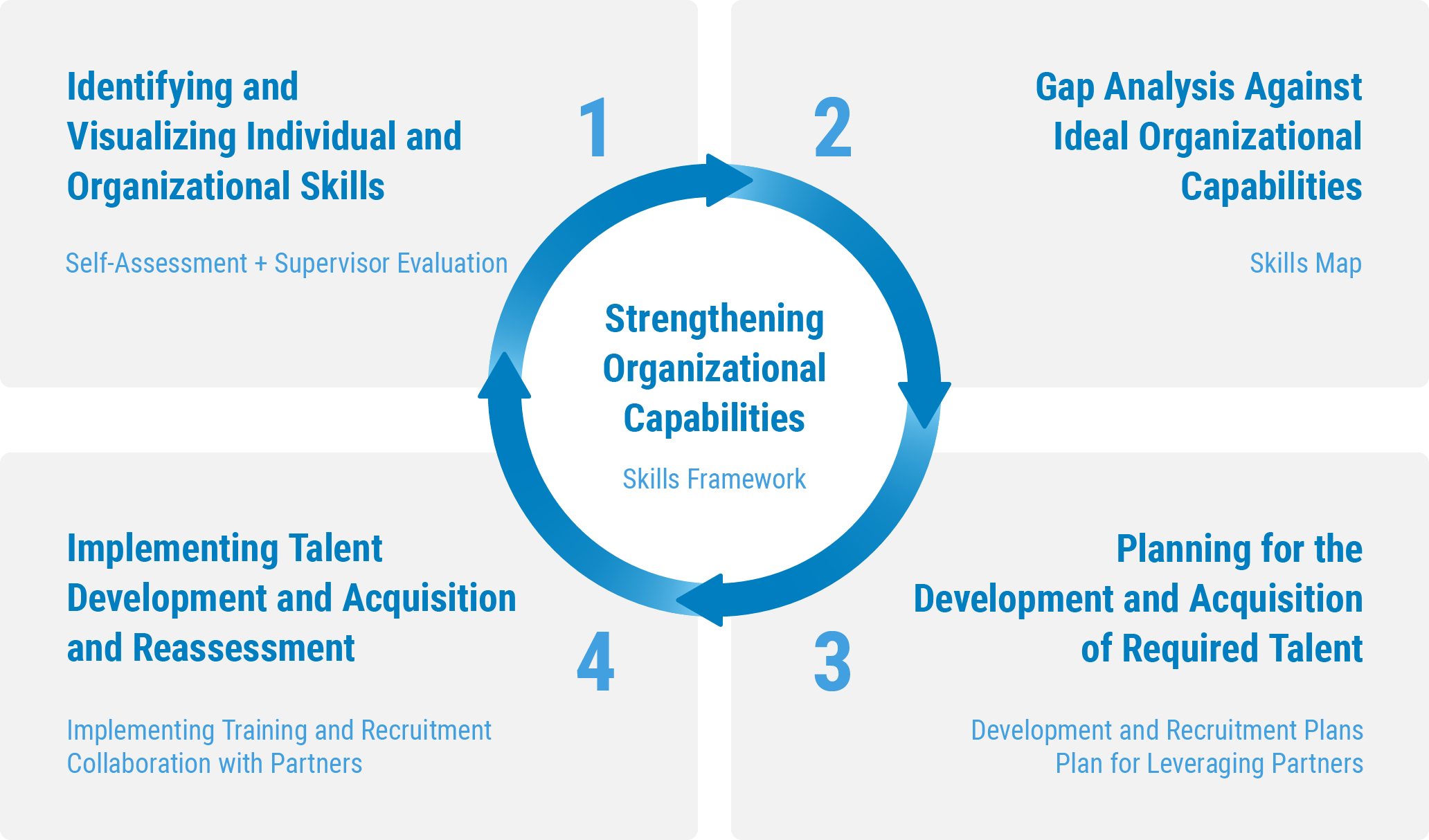 The Cycle of Skill Visualization and Organizational Strengthening