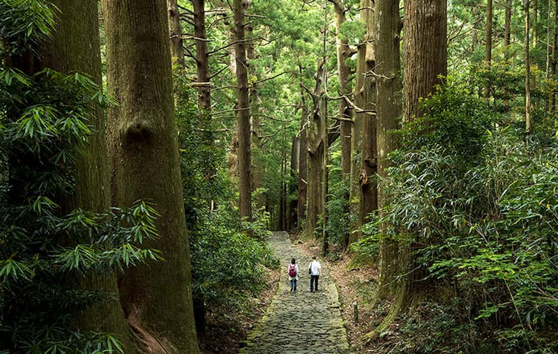 熊野古道